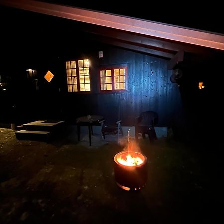 Vennebo - Koselig Liten Hytte Med Alle Fasiliteter Ål Dış mekan fotoğraf