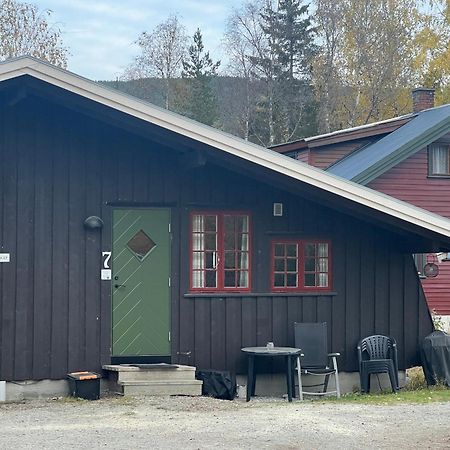 Vennebo - Koselig Liten Hytte Med Alle Fasiliteter Ål Dış mekan fotoğraf