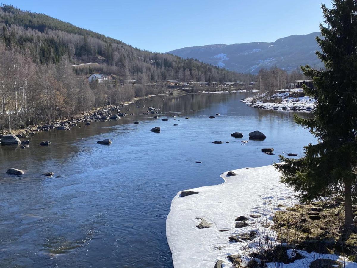 Vennebo - Koselig Liten Hytte Med Alle Fasiliteter Ål Dış mekan fotoğraf